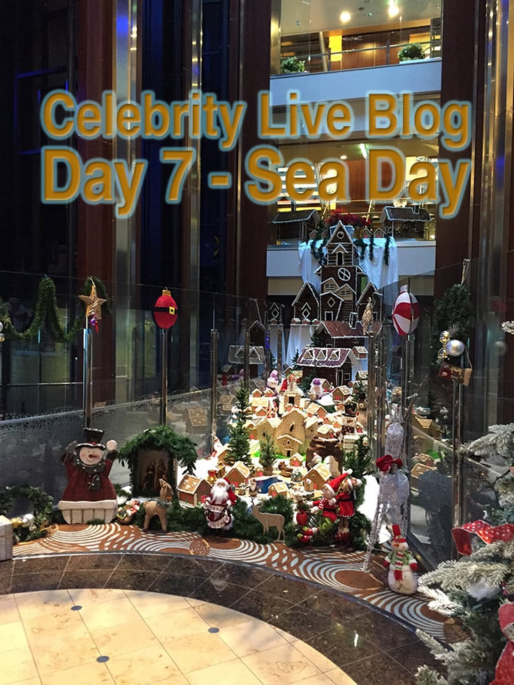 Celebrity Reflection Christmas Display