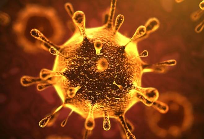 Coronavirus - Name because of the characteristic appearance of virions (the infective form of the virus) by electron microscopy