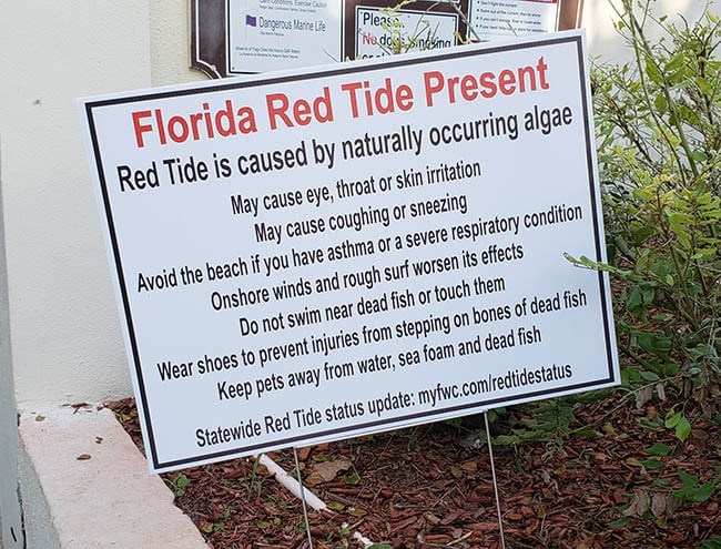 Red tide sign at Spanish River Park