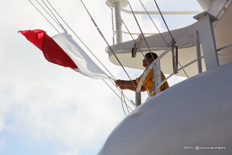 A crew member on the Disney Wonder raises the pilot flag to indicate a pilot is on board.