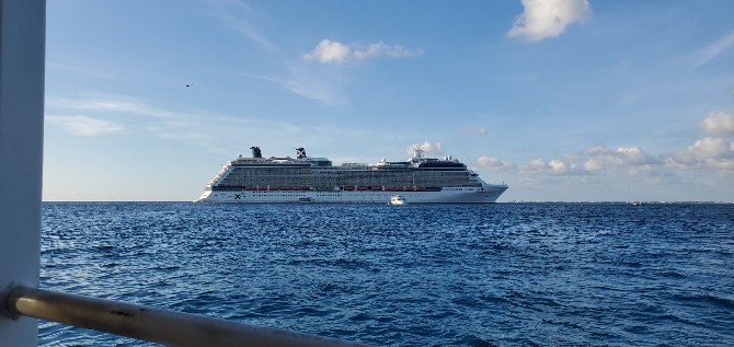 Celebrity Silhouette