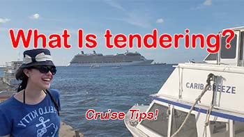 What is a tender?