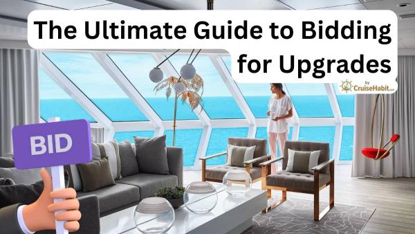 the ultimate guide on bidding for cruise upgrades
