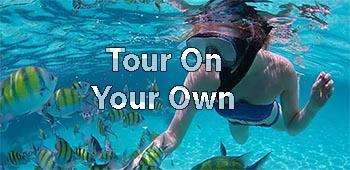 Take excursions on your own with NCL