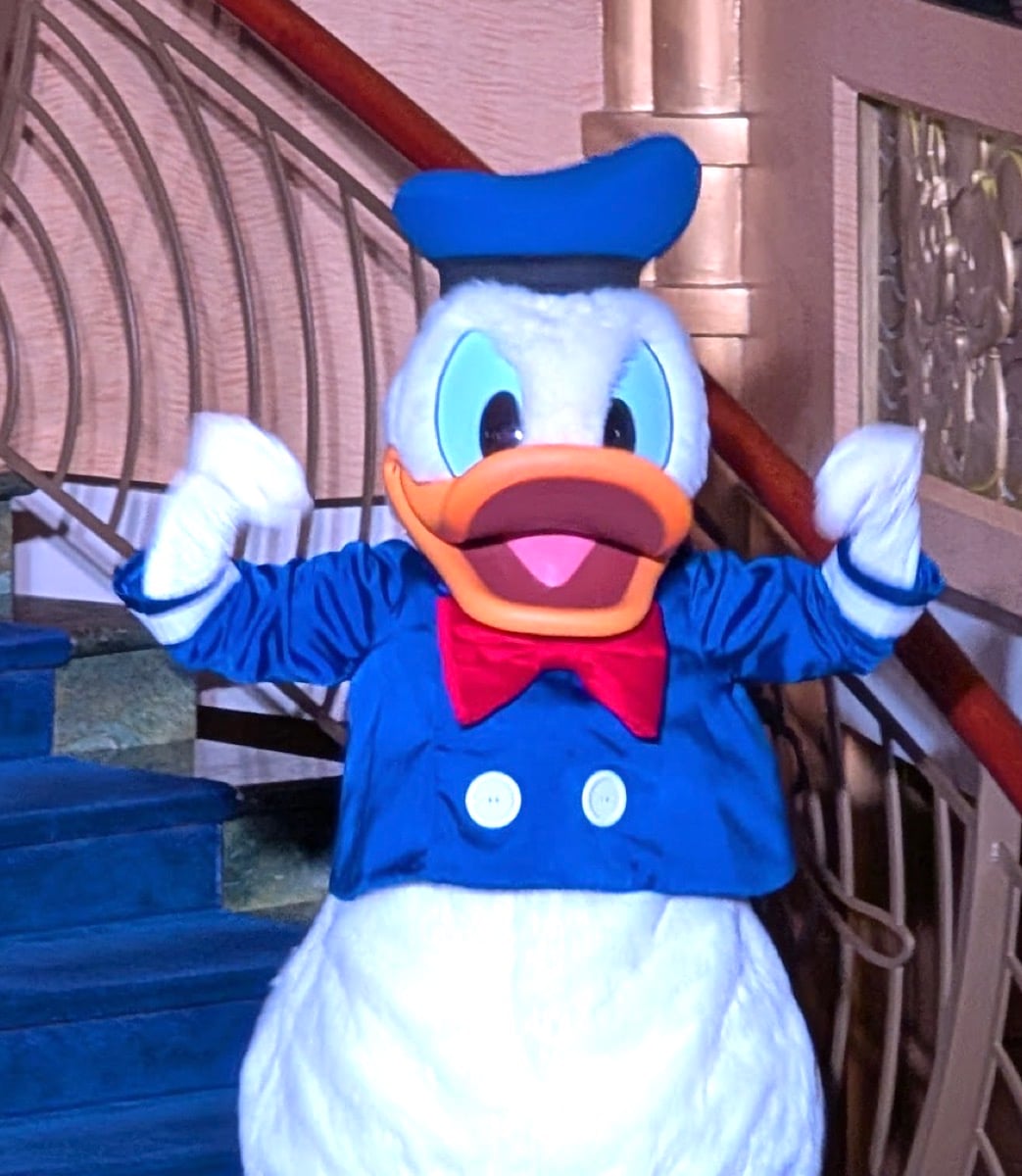 Donald Duck on Disney Fantast