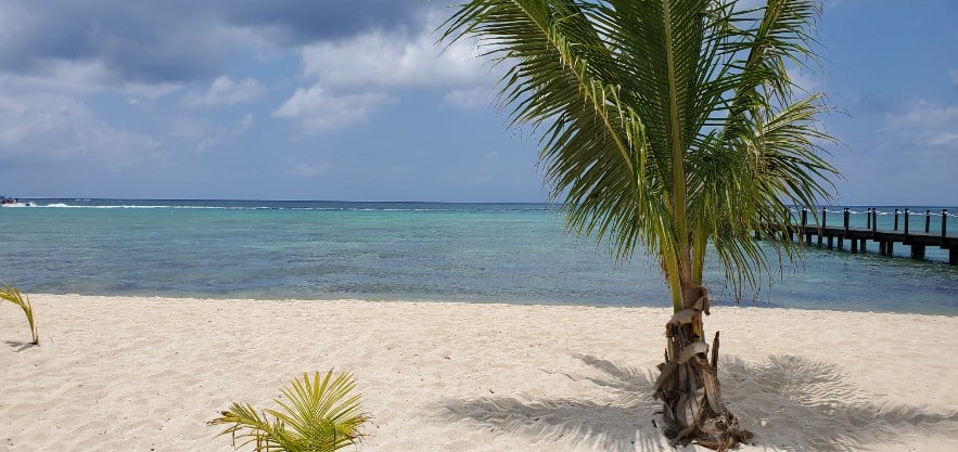 Paradise Beach - Cozumel, Mexico