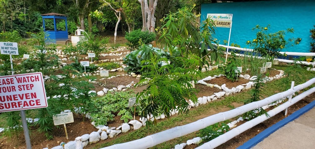 A Garden in Falmouth at the Bamboo Raft Loading Area on the Martha Brae