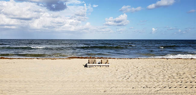 There may be no indication (other than signage) of red tide conditions