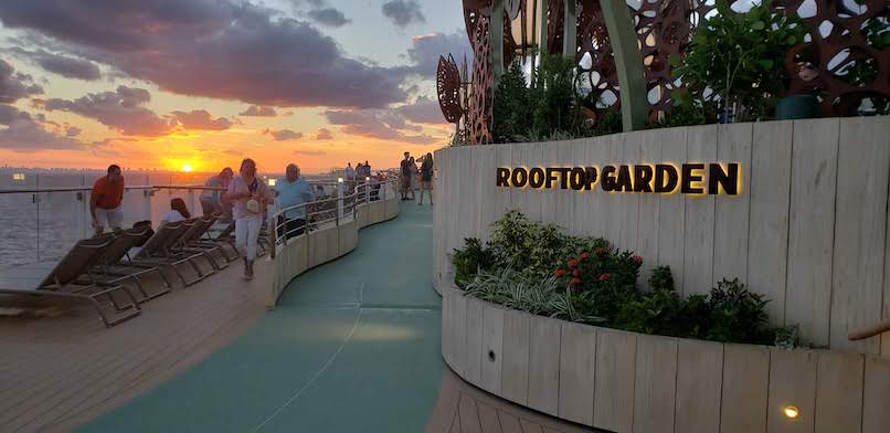 Rooftop Garden