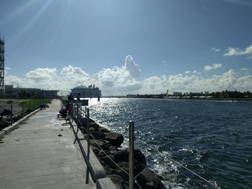 watch cruise ships leave fort lauderdale