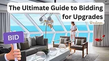 The ultimate guide to bidding on stateroom upgrades