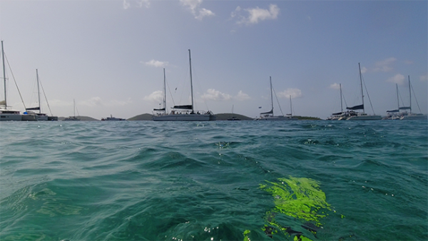 st thomas catamaran snorkel excursions