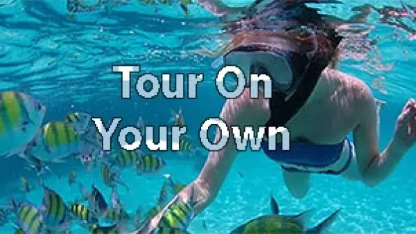 Take excursions on your own with NCL